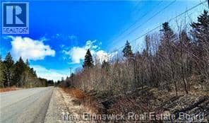 Lot 88-109 Bunker Hill Road, Wilsons Beach, photo 2