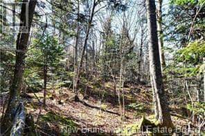 Lot 88-109 Bunker Hill Road, Wilsons Beach, photo 3