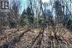 Lot 88-109 Bunker Hill Road — photo 9 of 10