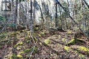 Lot 88-109 Bunker Hill Road, Wilsons Beach, photo 4