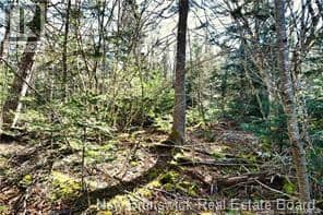 Lot 88-109 Bunker Hill Road, Wilsons Beach, photo 7
