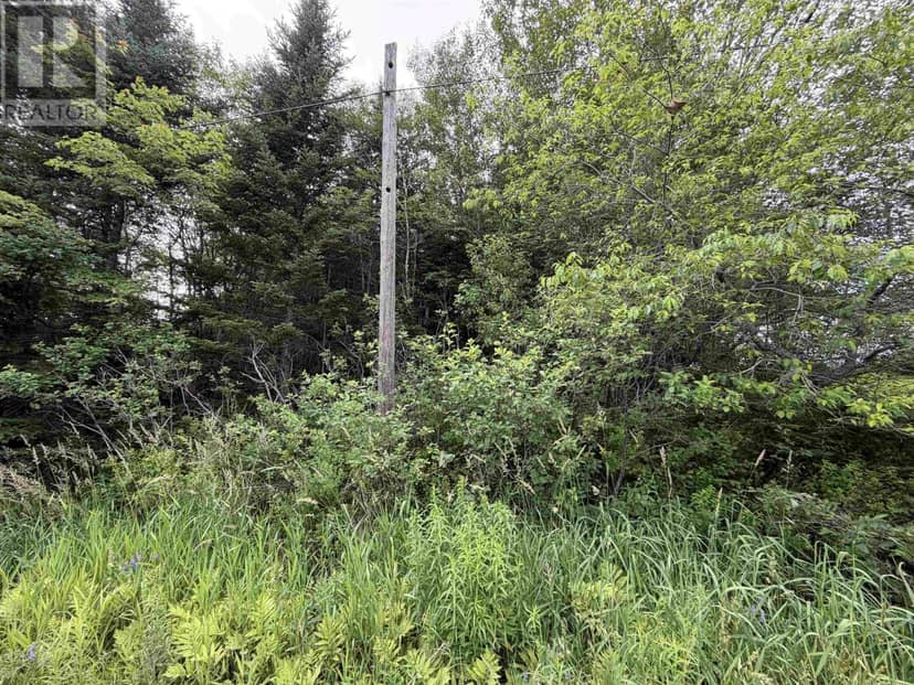 Lot 14 Highway 2, Alton, photo 2