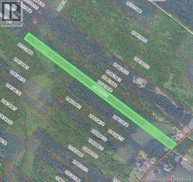 16.93 acres Rue Saint-Raphaël Nord, Saint-Marie-Saint-Raphaël, photo 2