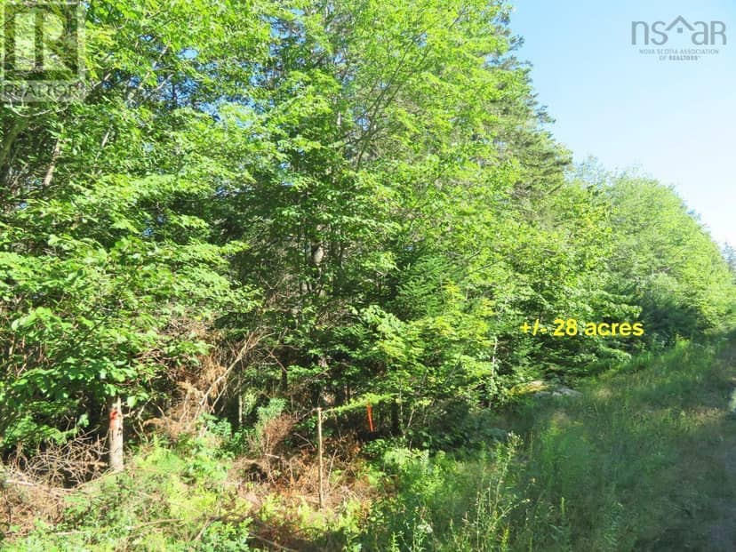 2 Lots Lower River Road — photo 9 of 17