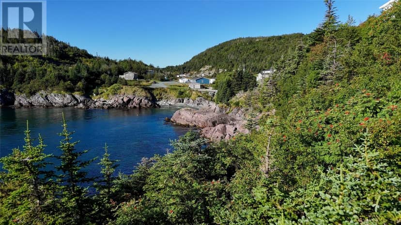 217 Admirals Cove Road — photo 37 of 38