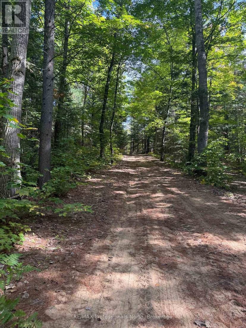 0 Stisted Road, McMurrich/Monteith, photo 8