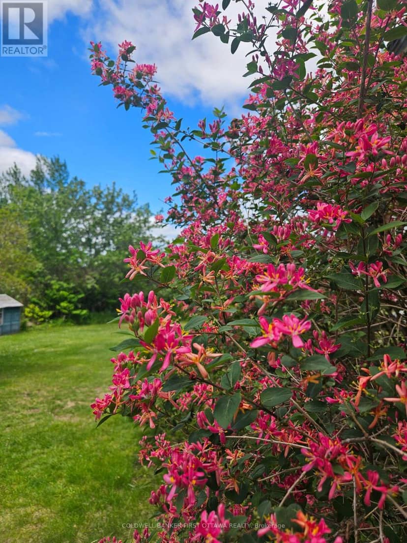 400 Buttermilk Hill Road, Drummond/North Elmsley, photo 3