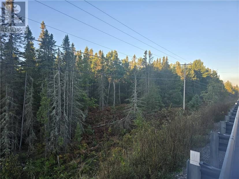 6042 Hwy 61 — photo 4 of 9