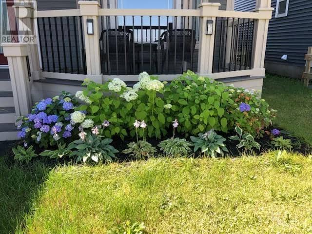 111 Cheeseman Drive, St. John's, photo 2