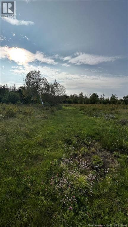 Lot Nowlan, Landry Office, photo 5