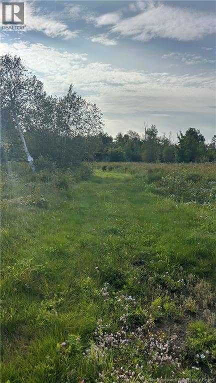 Lot Nowlan, Landry Office, photo 6