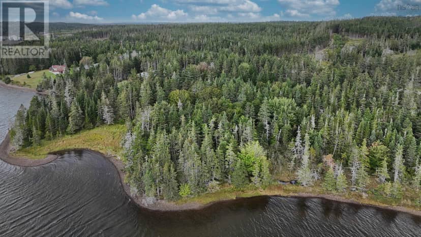 Lot 2 Highway 247 — photo 11 of 21