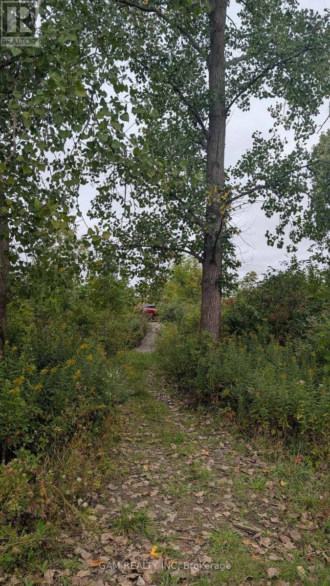 V/L County Road 46 Road — photo 11 of 11