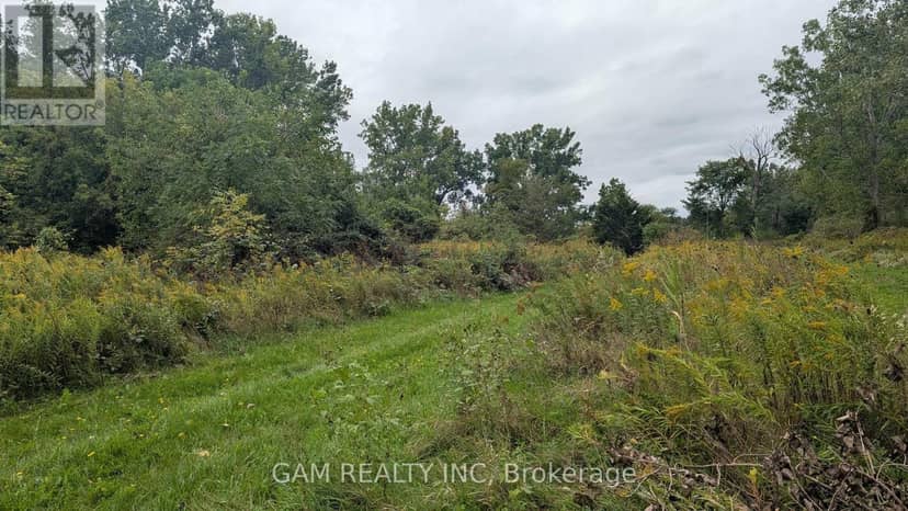 V/L County Road 46 Road, Lakeshore, photo 6