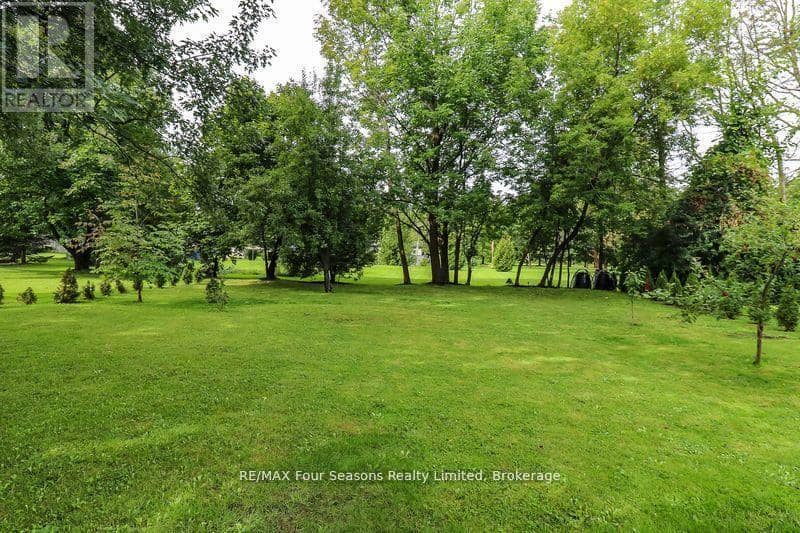 96 Lorne Street — photo 12 of 25