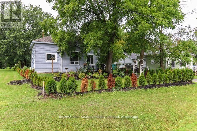 96 Lorne Street — photo 3 of 25