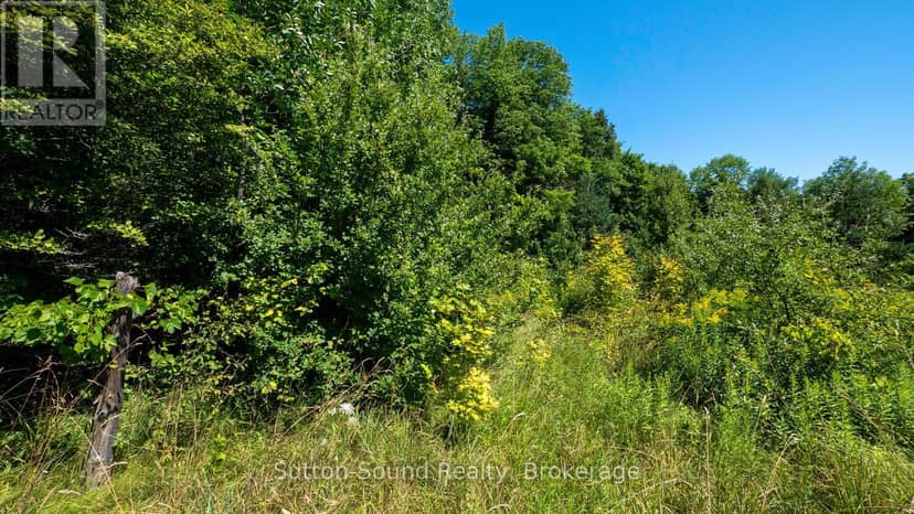 31 Everett Road — photo 10 of 40