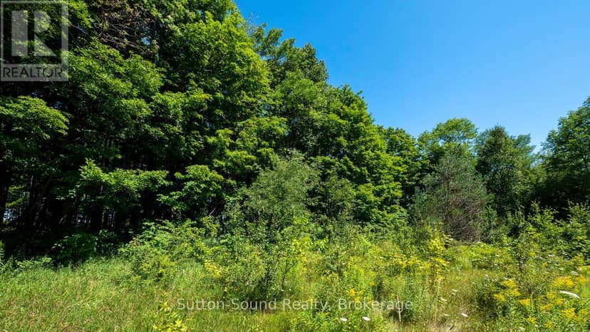 31 Everett Road — photo 11 of 40