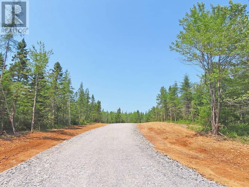 7 lot subdivision Regina Lane, Louisdale, photo 5