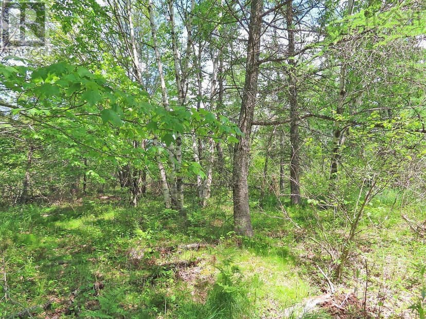 7 lot subdivision Regina Lane — photo 6 of 13