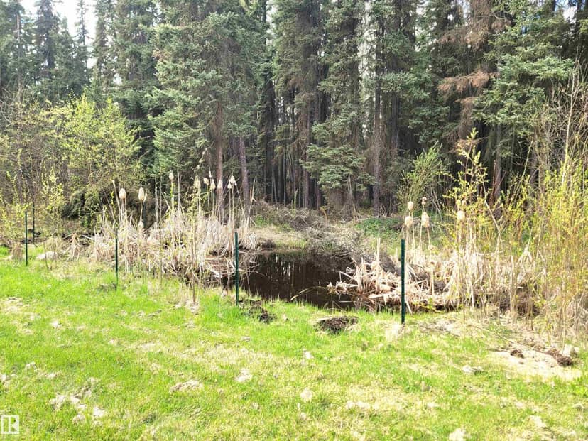 624072 Rge Road 241 — photo 10 of 40