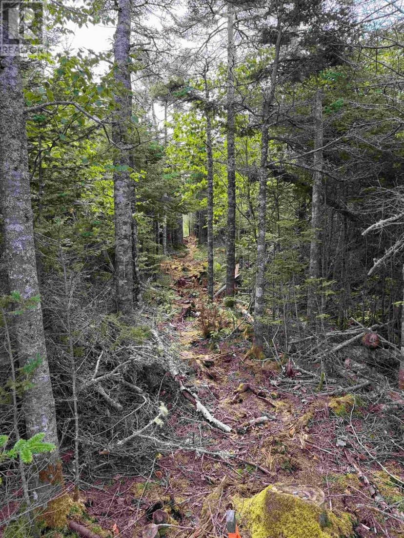 Lot 2 Conrod Beach Road E — photo 5 of 10