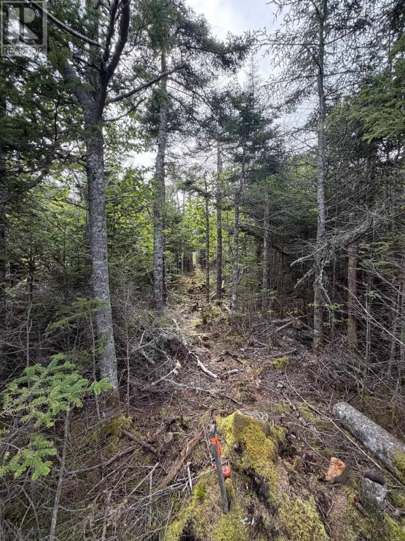 Lot 2 Conrod Beach Road E — photo 6 of 10