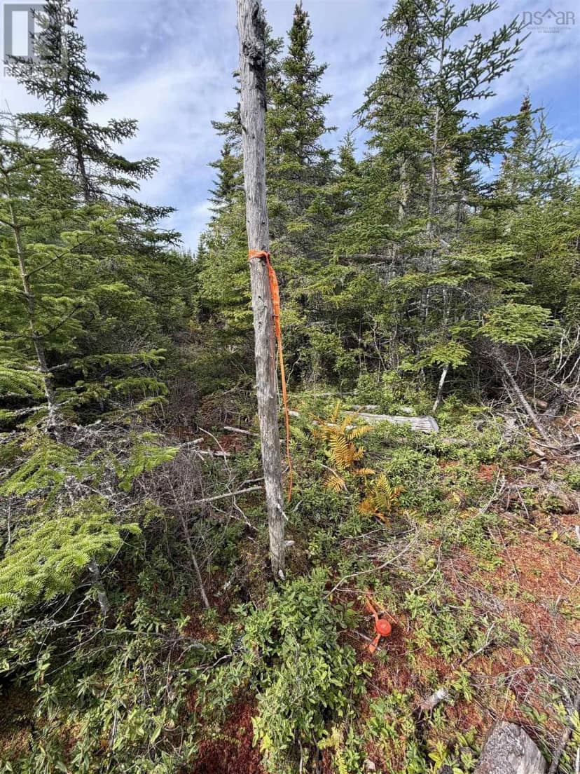 Lot 2 Conrod Beach Road E — photo 8 of 10