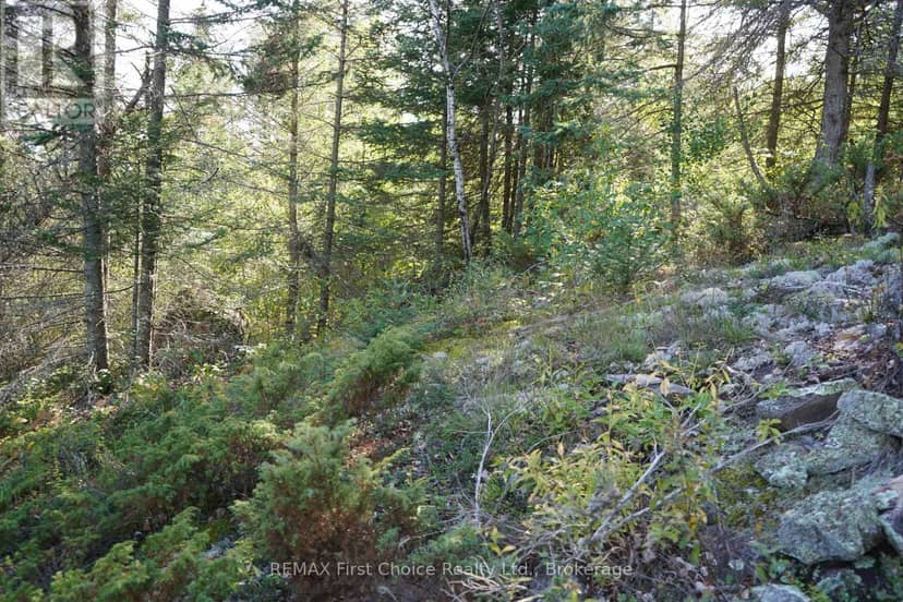 145 Little Sand Lake — photo 24 of 33
