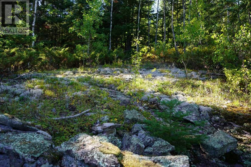 145 Little Sand Lake — photo 23 of 33