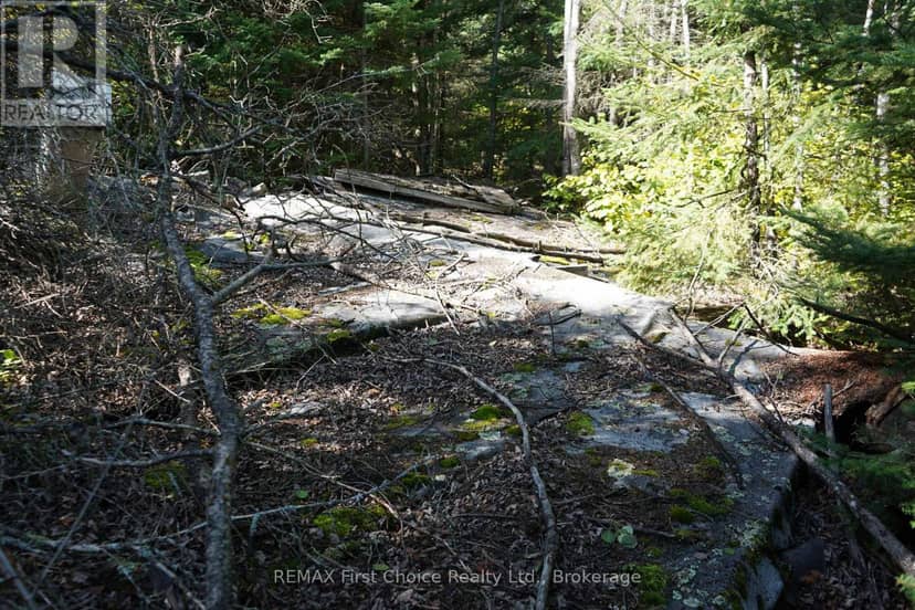 145 Little Sand Lake — photo 33 of 33