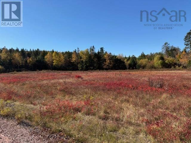 100 Acres Spencers Beach (Hwy 209) Road — photo 1 of 16