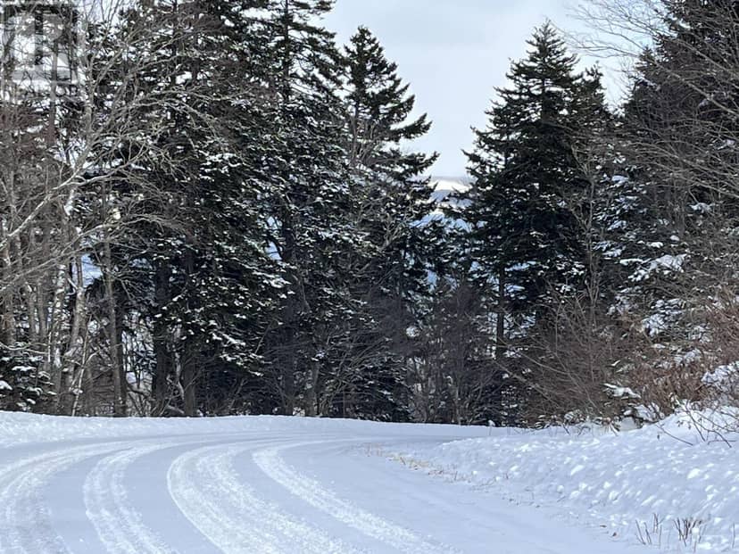 100 Acres Spencers Beach (Hwy 209) Road — photo 12 of 16