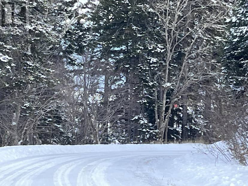 100 Acres Spencers Beach (Hwy 209) Road — photo 11 of 16