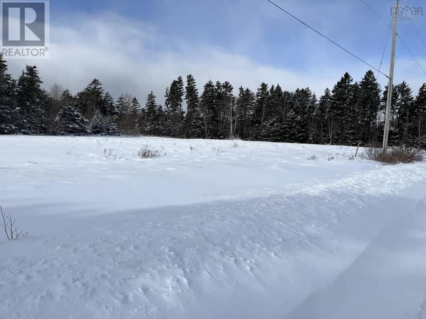 100 Acres Spencers Beach (Hwy 209) Road — photo 13 of 16