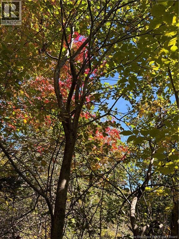 Lot 23-01 Howland Ridge Road — photo 17 of 23