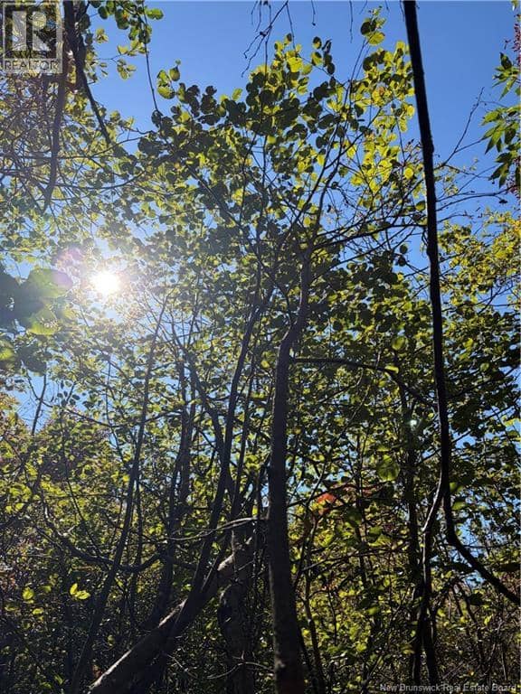 Lot 23-01 Howland Ridge Road — photo 16 of 23