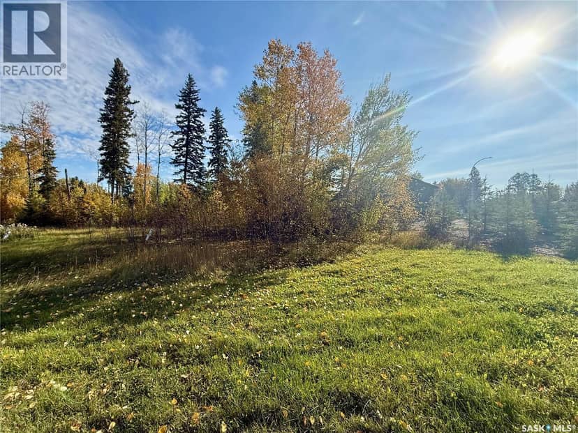 102 Rumberger ROAD, Candle Lake, photo 3