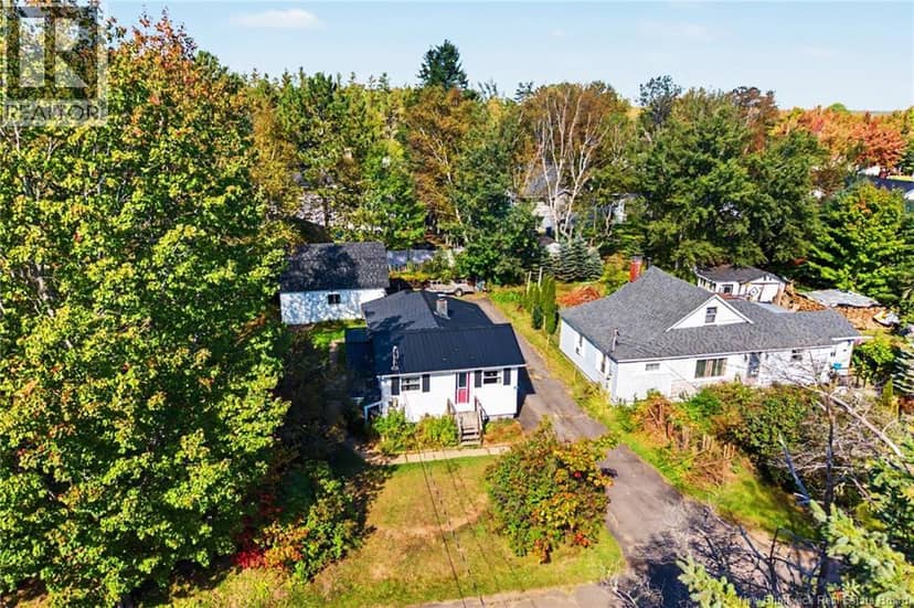 74 Chestnut Street, Minto, photo 4