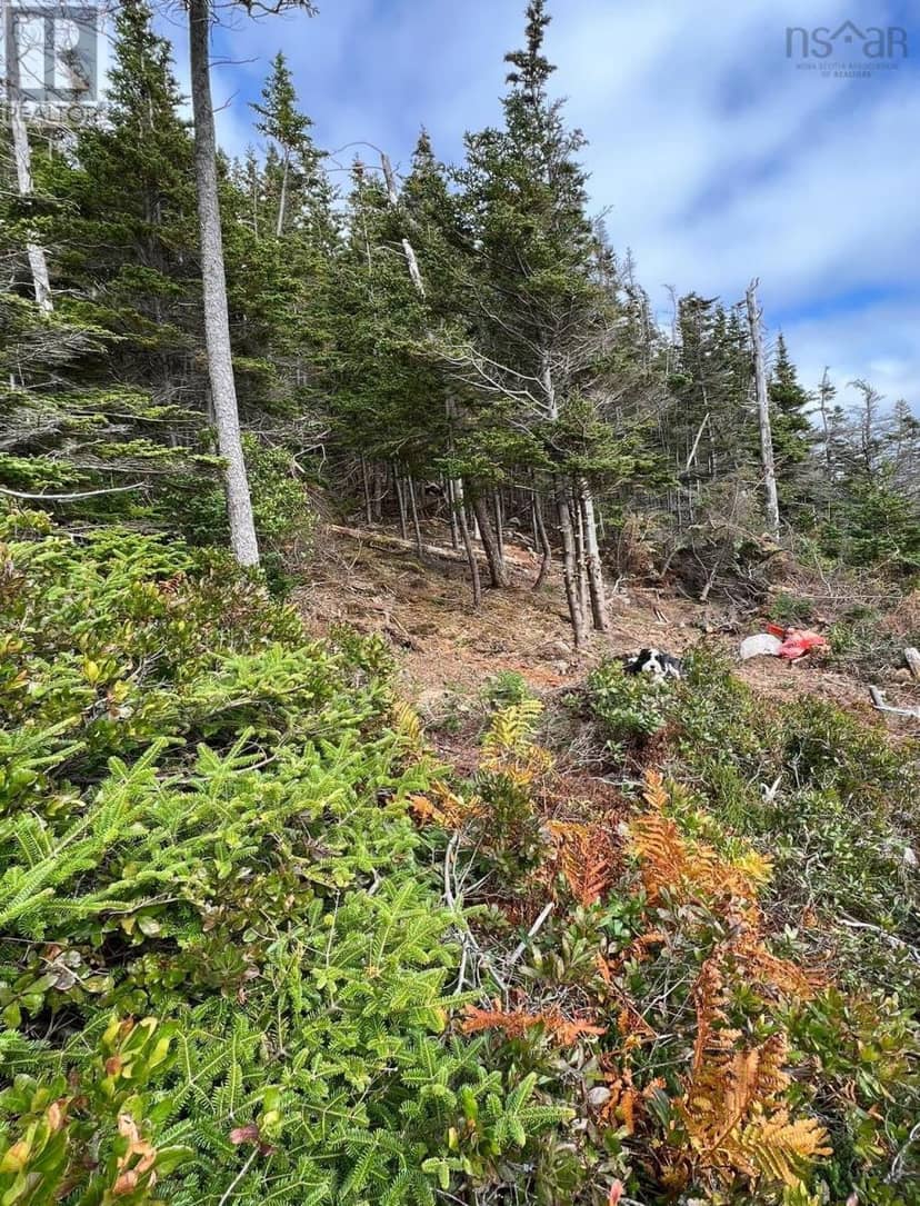 Lots Lower Lahave Road — photo 10 of 19