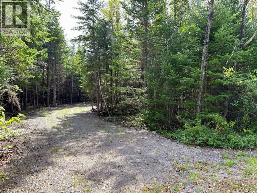 5 Spurline Avenue, Pennfield, photo 4