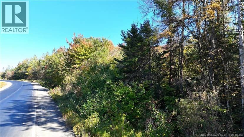 Lot 3 Route 3, Andersonville, photo 5