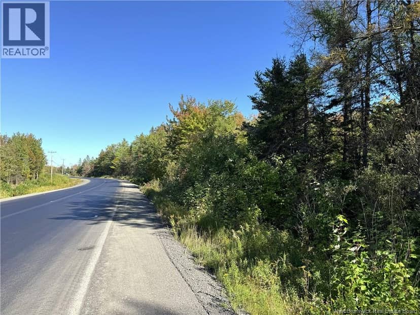 Lot 3 Route 3, Andersonville, photo 4