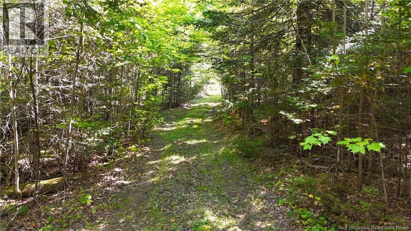 Lot 4 Route 3 — photo 16 of 21