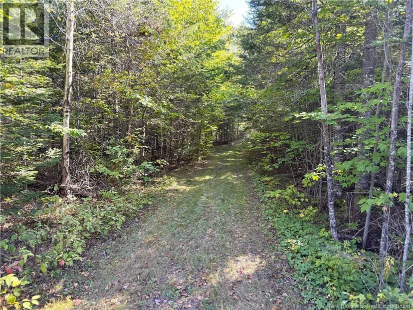 Lot 4 Route 3, Andersonville, photo 5
