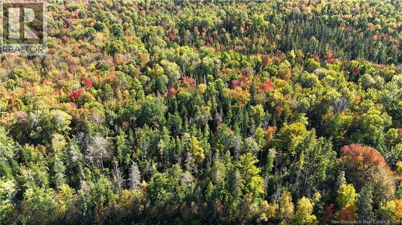 Lot 4 Route 3 — photo 11 of 21