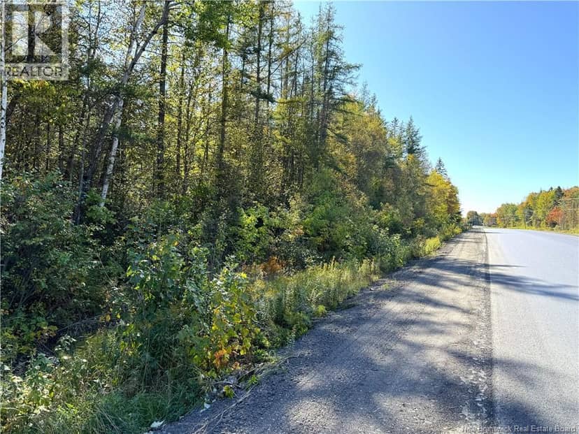 Lot 4 Route 3, Andersonville, photo 6