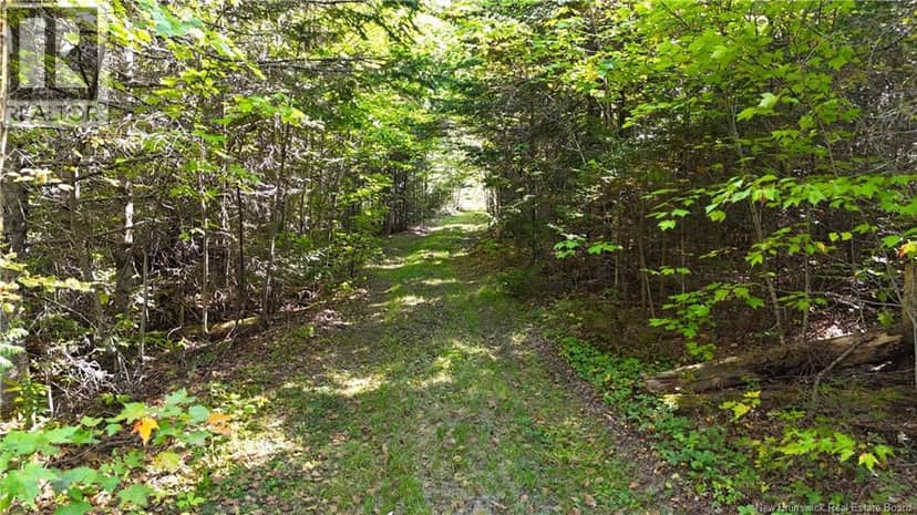 Lot 4 Route 3 — photo 15 of 21