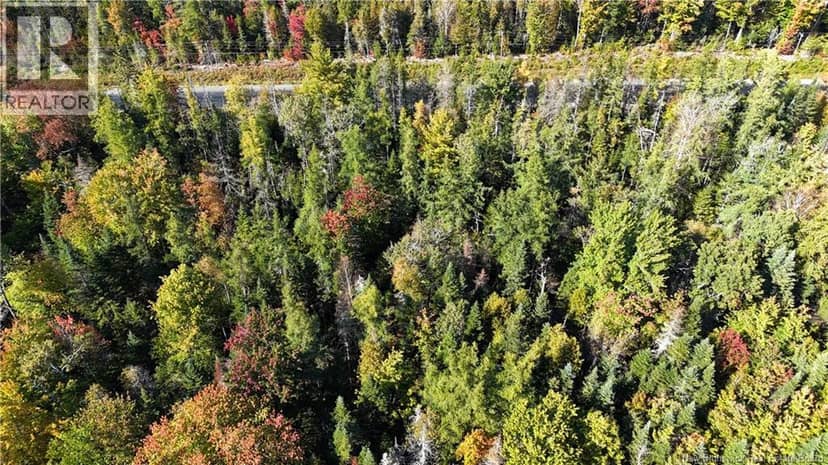 Lot 4 Route 3 — photo 13 of 21