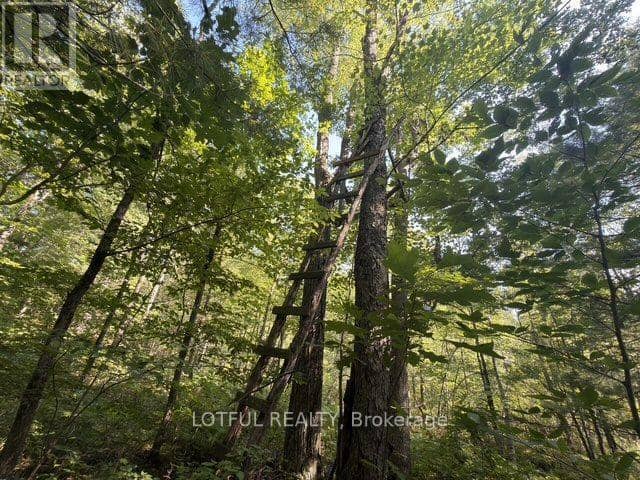 101 Maberly Station Road — photo 28 of 35